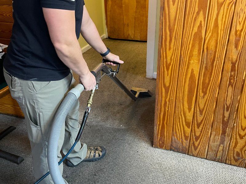 Chemical-free steam carpet cleaning in action at a Wilmington home