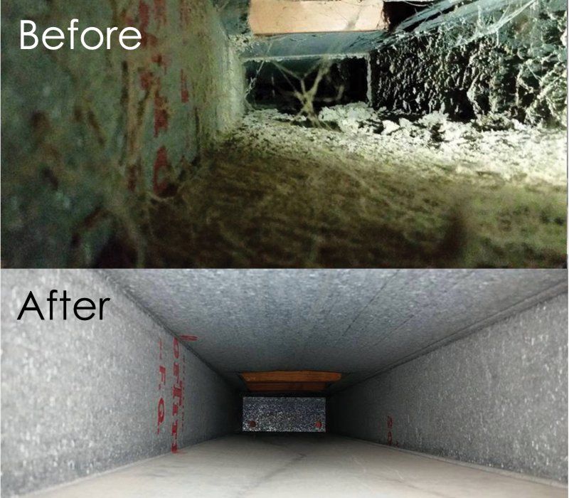 Clean, healthy indoor environment in a Wilmington coastal home