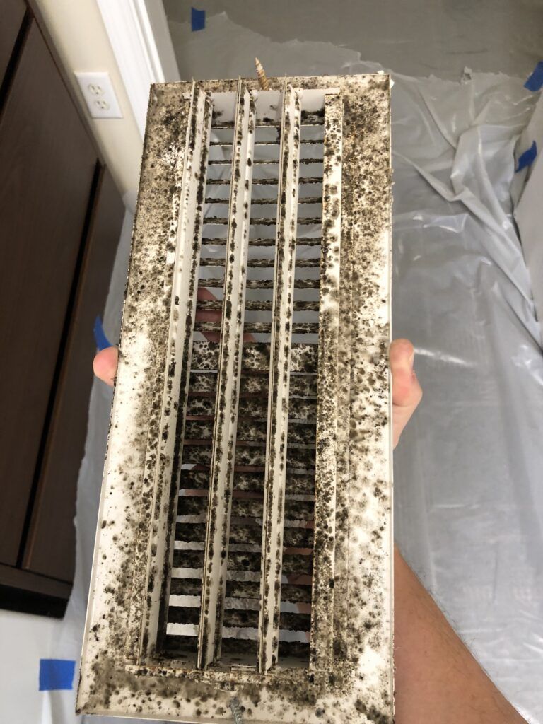 Mold Testing