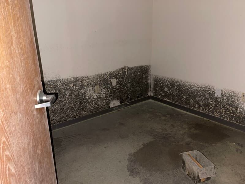 Sano Steam Cleaning & Restoration — Mold Remediation in Wilmington NC