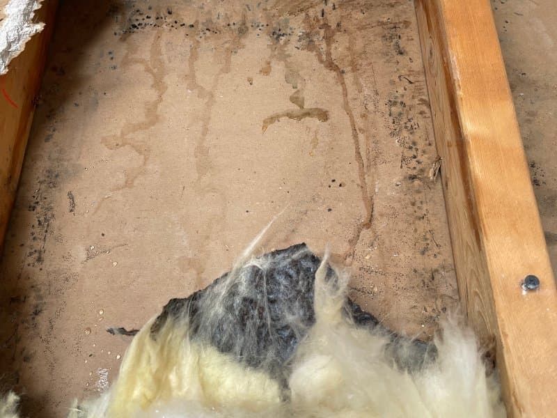 Professional moisture investigation equipment being used in a coastal NC home