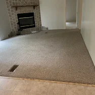 Clean carpet in living room near fireplace after professional steam cleaning — Ed Ingram review