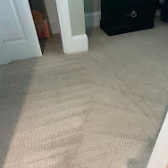 Freshly cleaned residential carpet showing extraction lines in hallway — Patricia Reichmann review